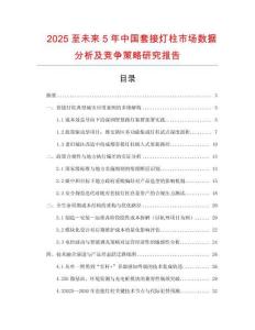 2025至未來(lái)5年中國(guó)套接燈柱市場(chǎng)數(shù)據(jù)分析及競(jìng)爭(zhēng)策略研究報(bào)告