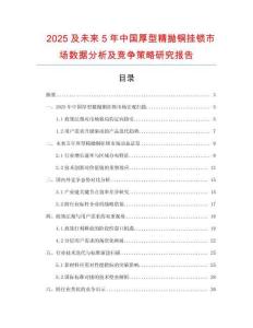 2025及未來5年中國厚型精拋銅掛鎖市場數(shù)據(jù)分析及競爭策略研究報告