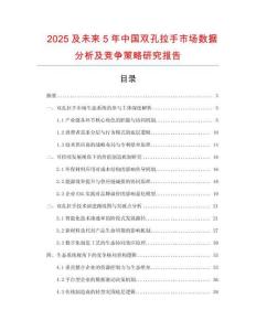 2025及未來5年中國雙孔拉手市場數(shù)據(jù)分析及競爭策略研究報告