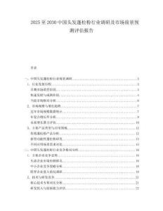 2025至2030中國頭發蓬松粉行業調研及市場前景預測評估報告