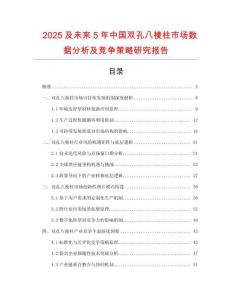 2025及未來5年中國雙孔八棱柱市場數(shù)據(jù)分析及競爭策略研究報告