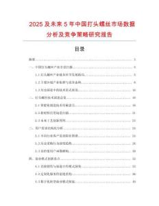 2025及未來5年中國(guó)打頭螺絲市場(chǎng)數(shù)據(jù)分析及競(jìng)爭(zhēng)策略研究報(bào)告