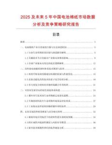 2025及未來5年中國電池棉紙市場(chǎng)數(shù)據(jù)分析及競(jìng)爭(zhēng)策略研究報(bào)告