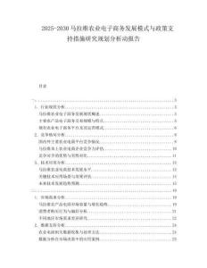 2025-2030馬拉維農(nóng)業(yè)電子商務(wù)發(fā)展模式與政策支持措施研究規(guī)劃分析動(dòng)報(bào)告