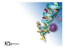 2- 過濾器及選型 (2)