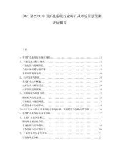 2025至2030中國擴(kuò)孔系統(tǒng)行業(yè)調(diào)研及市場前景預(yù)測評估報(bào)告