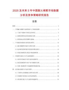 2025及未來5年中國耐火棉絮市場數(shù)據(jù)分析及競爭策略研究報告