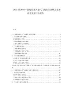 2025至2030中国轮胎无内胎气门嘴行业调研及市场前景预测评估报告