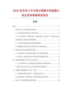 2025至未來5年中國分割器市場數據分析及競爭策略研究報告