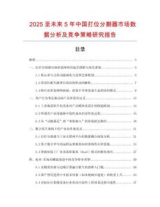 2025至未來5年中國打位分割器市場數據分析及競爭策略研究報告