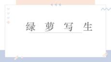 《綠蘿寫生》美術教育PPT繪畫課件創意教程教案