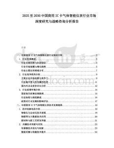 2025至2030中國商用IC卡氣體智能儀表行業市場深度研究與戰略咨詢分析報告