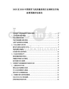 2025至2030中國商用飛機防撞系統(tǒng)行業(yè)調(diào)研及市場前景預(yù)測評估報告