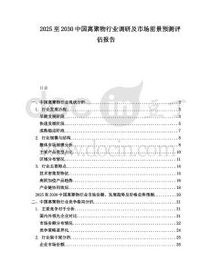 2025至2030中國離聚物行業(yè)調(diào)研及市場前景預測評估報告