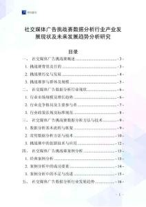 社交媒體廣告挑戰(zhàn)賽數(shù)據(jù)分析行業(yè)產(chǎn)業(yè)發(fā)展現(xiàn)狀及未來發(fā)展趨勢分析研究