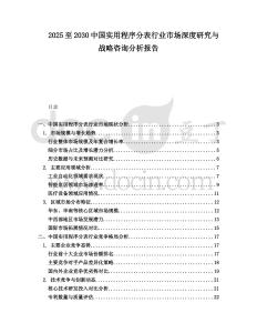 2025至2030中國實用程序分表行業市場深度研究與戰略咨詢分析報告