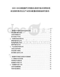 2025-2030新能源汽車智能化系統(tǒng)市場(chǎng)目前需求供給發(fā)展形勢(shì)評(píng)估及產(chǎn)業(yè)資本配置政策規(guī)劃研究報(bào)告