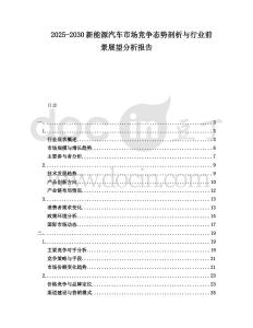 2025-2030新能源汽車市場競爭態(tài)勢剖析與行業(yè)前景展望分析報(bào)告
