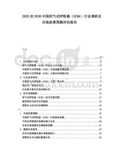 2025至2030中國供氣式呼吸器（SCBA）行業(yè)調(diào)研及市場前景預(yù)測(cè)評(píng)估報(bào)告