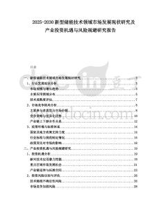 2025-2030新型儲能技術(shù)領(lǐng)域市場發(fā)展現(xiàn)狀研究及產(chǎn)業(yè)投資機(jī)遇與風(fēng)險規(guī)避研究報告
