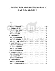 2025-2030南非礦業市場調研及全球供應鏈管理和資金投資領域風險分析報告