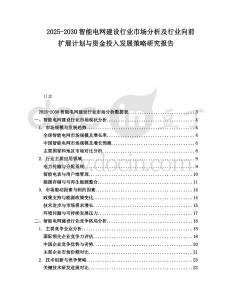 2025-2030智能電網(wǎng)建設(shè)行業(yè)市場分析及行業(yè)向前擴展計劃與資金投入發(fā)展策略研究報告