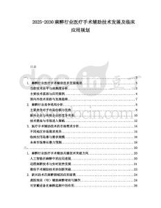 2025-2030麻醉行業(yè)醫(yī)療手術(shù)輔助技術(shù)發(fā)展及臨床應(yīng)用規(guī)劃