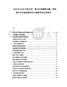 2025至2030中國PARP（聚ADP核糖聚合酶）抑制劑行業市場深度研究與戰略咨詢分析報告