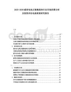 2025-2030威肯電池正極集流體行業(yè)市場供需分析及投資評估電流密度研究報告