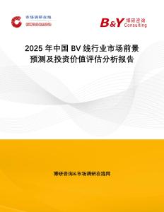 2025年中國BV線行業市場前景預測及投資價值評估分析報告