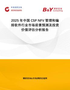 2025年中國CSP NFV管理和編排軟件行業市場前景預測及投資價值評估分析報告