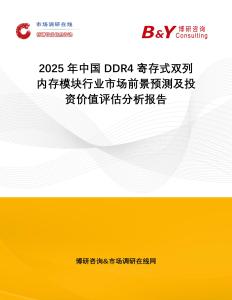2025年中國DDR4寄存式雙列內存模塊行業市場前景預測及投資價值評估分析報告