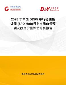 2025年中國DDR5串行檢測集線器 (SPD Hub)行業市場前景預測及投資價值評估分析報告