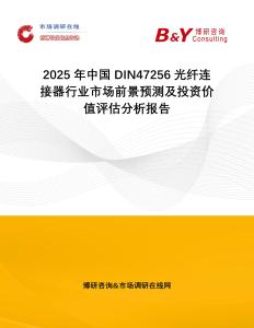 2025年中國DIN47256光纖連接器行業市場前景預測及投資價值評估分析報告