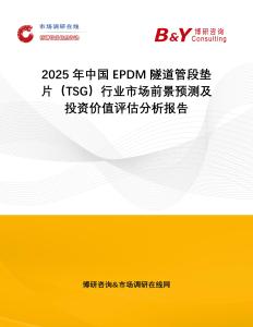 2025年中國EPDM隧道管段墊片（TSG）行業市場前景預測及投資價值評估分析報告