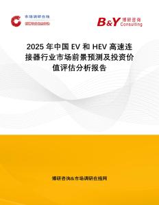 2025年中國EV 和 HEV 高速連接器行業市場前景預測及投資價值評估分析報告