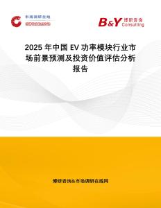 2025年中國EV功率模塊行業(yè)市場前景預(yù)測(cè)及投資價(jià)值評(píng)估分析報(bào)告