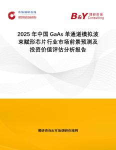 2025年中國GaAs單通道模擬波束賦形芯片行業市場前景預測及投資價值評估分析報告