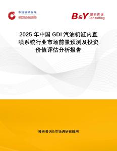 2025年中國GDI汽油機缸內直噴系統行業市場前景預測及投資價值評估分析報告