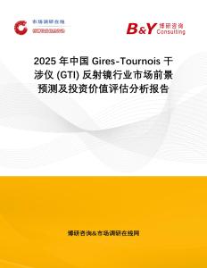 2025年中國Gires-Tournois 干涉儀 (GTI) 反射鏡行業市場前景預測及投資價值評估分析報告
