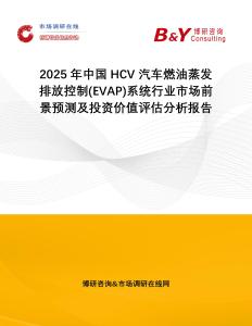 2025年中國HCV 汽車燃油蒸發排放控制(EVAP)系統行業市場前景預測及投資價值評估分析報告