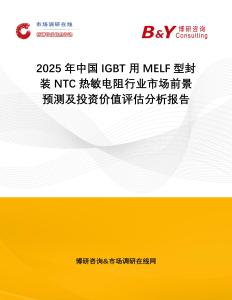 2025年中國IGBT用MELF型封裝NTC熱敏電阻行業市場前景預測及投資價值評估分析報告