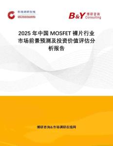 2025年中国MOSFET裸片行业市场前景预测及投资价值评估分析报告