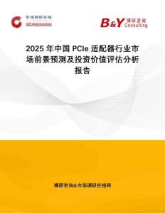 2025年中國PCIe適配器行業市場前景預測及投資價值評估分析報告