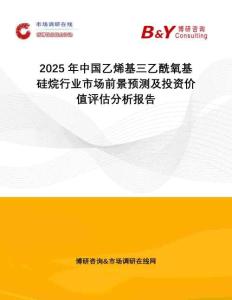 2025年中國乙烯基三乙酰氧基硅烷行業市場前景預測及投資價值評估分析報告