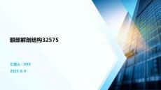 眼部解剖結(jié)構(gòu)32575