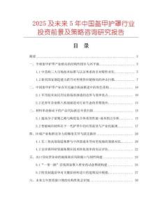 2025及未来5年中国盔甲护罩行业投资前景及策略咨询研究报告