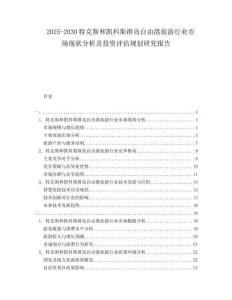 2025-2030特克斯和凱科斯群島自由港旅游行業(yè)市場(chǎng)現(xiàn)狀分析及投資評(píng)估規(guī)劃研究報(bào)告