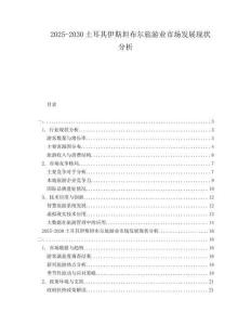 2025-2030土耳其伊斯坦布爾旅游業市場發展現狀分析