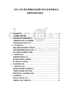 2025-2030銀行跨境業(yè)務拓展分析行業(yè)競爭格局與發(fā)展布局研究報告